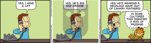 Garfield on Tuesday November 26, 2013 Comic Strip