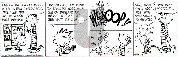 Calvin and Hobbes on Thursday July 16, 1992 Comic Strip