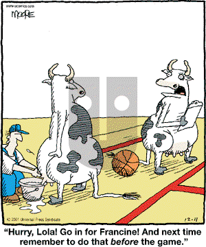 In the Bleachers - Tuesday December 11, 2001 Comic Strip