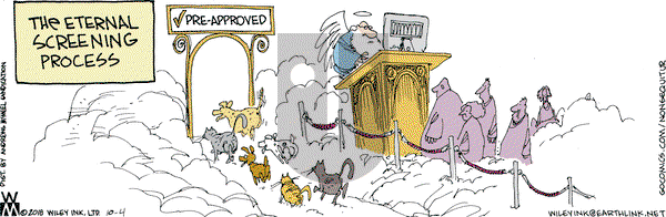 Non Sequitur on Thursday October 4, 2018 Comic Strip