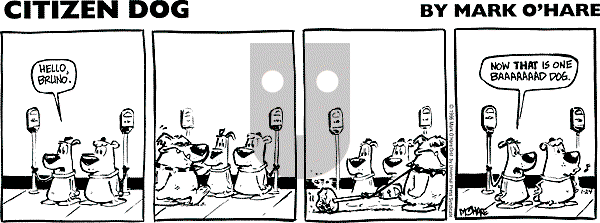 Citizen Dog on Sunday January 4, 2026 Comic Strip