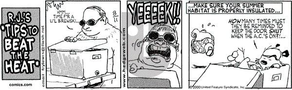 Over the Hedge on Friday August 11, 2000 Comic Strip