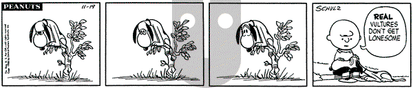 Peanuts on Wednesday November 19, 1958 Comic Strip