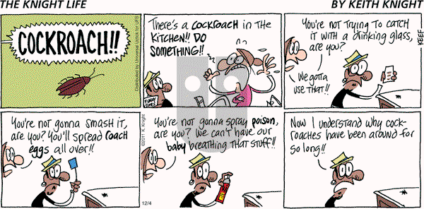 The Knight Life on Sunday December 4, 2011 Comic Strip