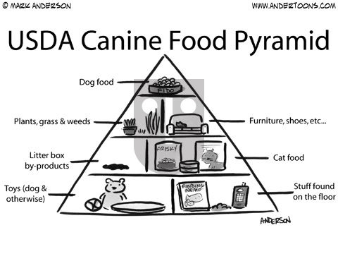 Andertoons on Saturday February 4, 2012 Comic Strip