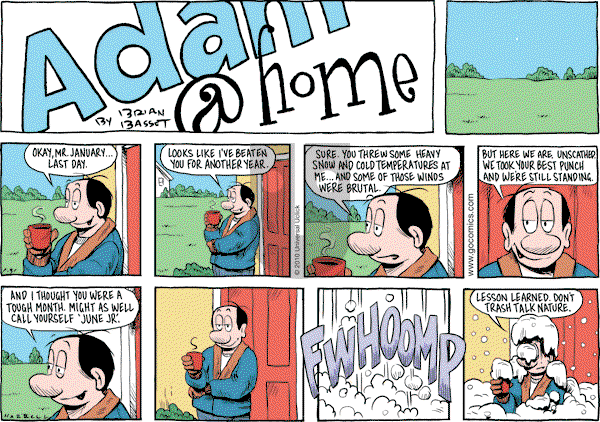 Adam@Home on Sunday January 31, 2010 Comic Strip