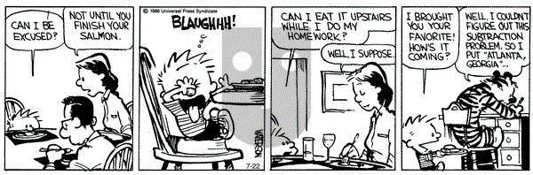 Calvin and Hobbes on Monday July 22, 1991 Comic Strip