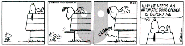 Peanuts on Saturday August 26, 1978 Comic Strip