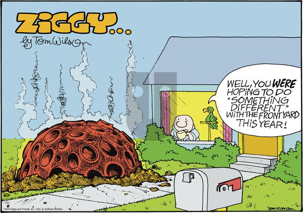 Ziggy on Sunday July 21, 2019 Comic Strip