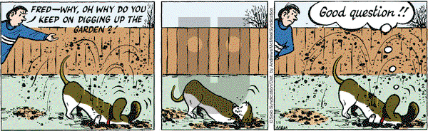 Fred Basset on Wednesday January 6, 2021 Comic Strip