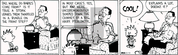 Calvin and Hobbes - Wednesday June 13, 2012 Comic Strip