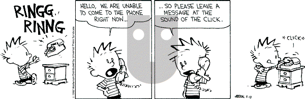 Calvin and Hobbes - Wednesday May 13, 1992 Comic Strip