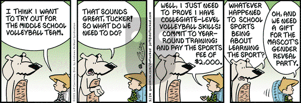 DeFlocked on Saturday May 24, 2025 Comic Strip