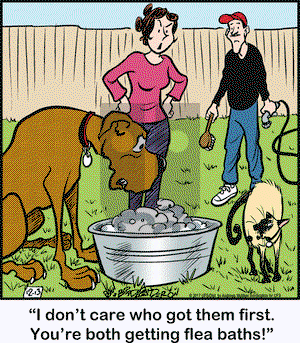 Marmaduke on Wednesday December 13, 2017 Comic Strip