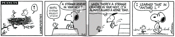 Peanuts on Tuesday July 11, 1972 Comic Strip