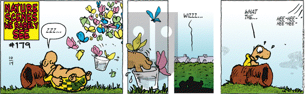 Over the Hedge on Saturday October 14, 2017 Comic Strip