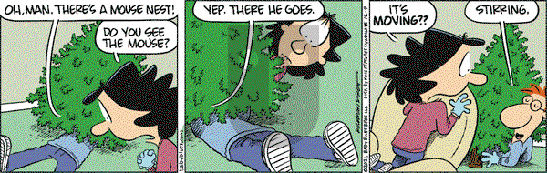 Baby Blues on Thursday December 9, 2021 Comic Strip