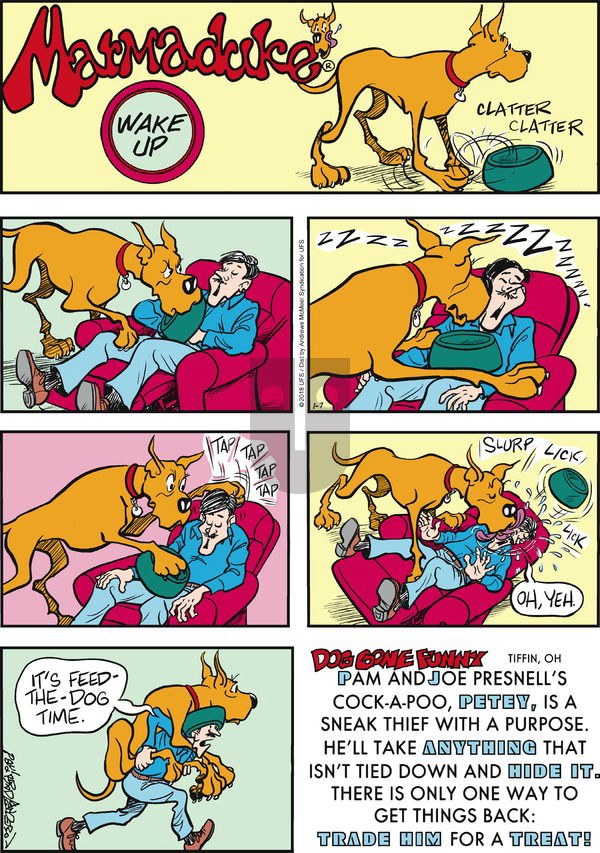Marmaduke on Sunday January 7, 2018 Comic Strip