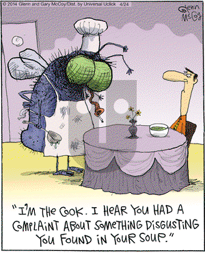 The Flying McCoys on Thursday April 24, 2014 Comic Strip
