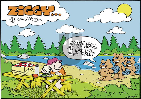Ziggy on Sunday June 16, 2019 Comic Strip