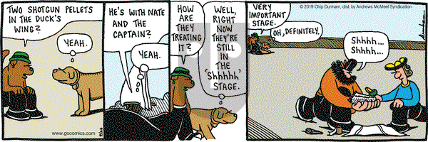 Overboard on Tuesday September 24, 2019 Comic Strip