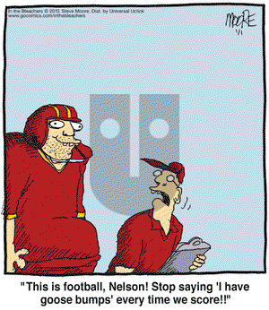 In the Bleachers on Tuesday January 1, 2013 Comic Strip