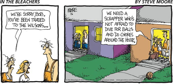 In the Bleachers - Sunday January 6, 2013 Comic Strip
