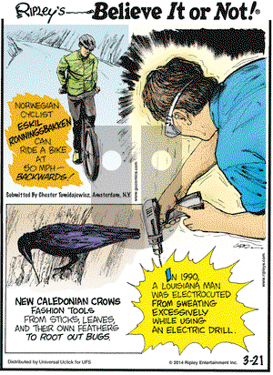 Ripley's Believe It or Not on Friday March 21, 2014 Comic Strip