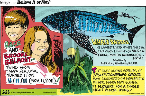Ripley's Believe It or Not on Sunday February 26, 2012 Comic Strip