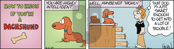 Drabble on Monday June 2, 2025 Comic Strip