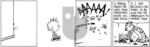 Calvin and Hobbes on Tuesday November 2, 1993 Comic Strip