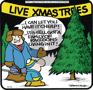Ziggy on Tuesday December 19, 2017 Comic Strip
