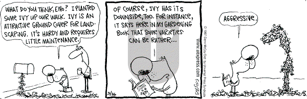 The Duplex on Wednesday August 20, 1997 Comic Strip