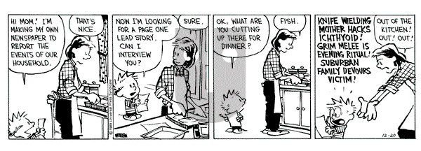 Calvin and Hobbes on Wednesday December 20, 1989 Comic Strip