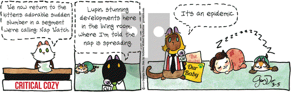 Breaking Cat News on Tuesday March 5, 2019 Comic Strip