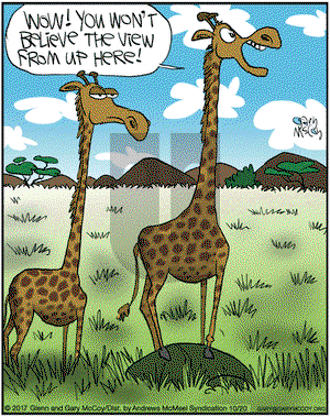 The Flying McCoys on Friday October 20, 2017 Comic Strip