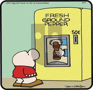 Ziggy on Wednesday August 11, 2021 Comic Strip