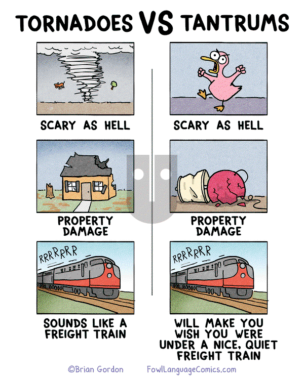 Fowl Language on Friday February 3, 2017 Comic Strip
