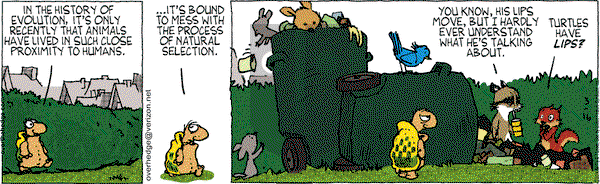 Over the Hedge on Tuesday March 16, 2010 Comic Strip