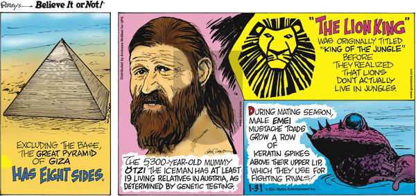 Ripley's Believe It or Not on Sunday January 31, 2021 Comic Strip