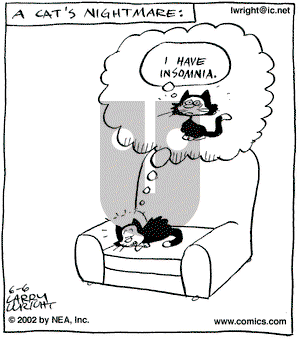 Kit 'N' Carlyle on Thursday June 6, 2002 Comic Strip