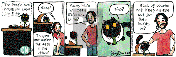 Breaking Cat News on Thursday March 22, 2018 Comic Strip