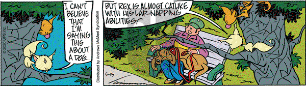 Rose is Rose on Friday May 15, 2020 Comic Strip