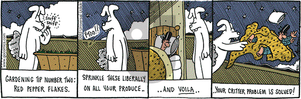Overboard on Saturday April 21, 2012 Comic Strip