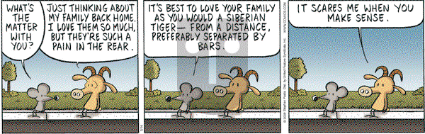 Pearls Before Swine - Saturday May 16, 2009 Comic Strip