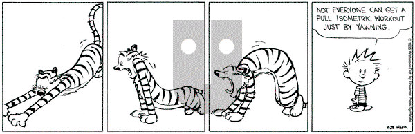 Calvin and Hobbes on Thursday September 28, 1995 Comic Strip