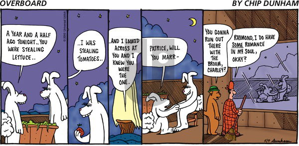 Overboard on Sunday May 9, 2010 Comic Strip