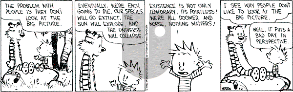 Calvin and Hobbes - Wednesday June 2, 1993 Comic Strip