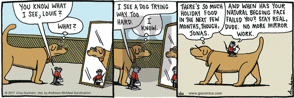 Overboard on Wednesday November 15, 2017 Comic Strip