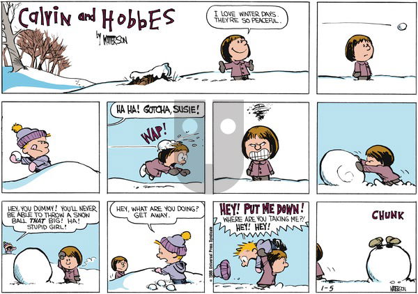 Calvin and Hobbes on Sunday January 5, 1986 Comic Strip
